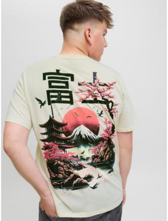 Ανανεώστε το στυλ σας με το T-shirt